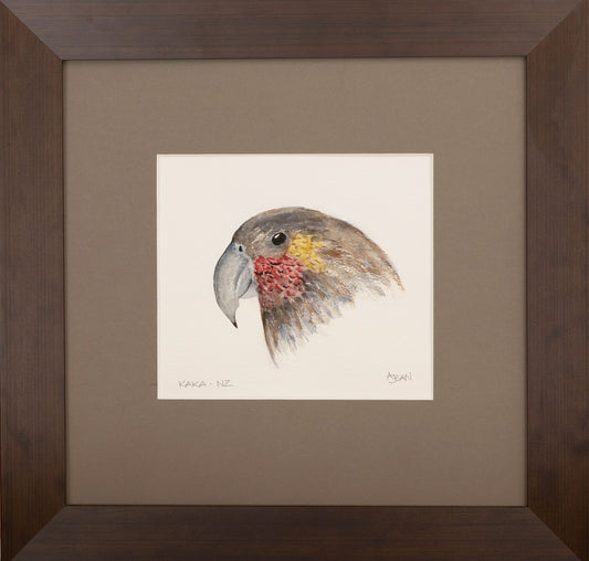 Watercolour Painting by artist Avril Jean  New Zealand Kaka Bird Silver Fern Gallery