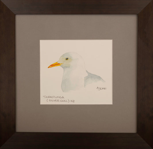 Watercolour Painting by artist Avril Jean New Zealand Tarapunga Silver Gull Bird Silver Fern Gallery
